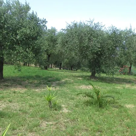 Apartment Via Dell'Agricultura *